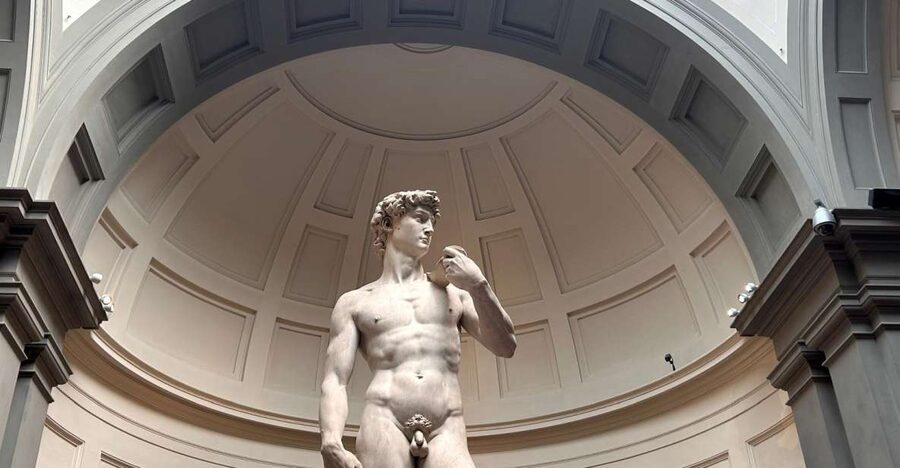 Florence: Michelangelo's David Entrance Ticket and Audio App - Painting galleries and Giotto and Botticelli in a museum that moves fast