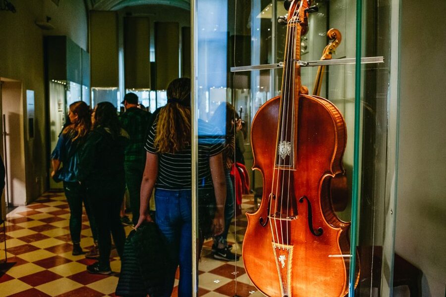 Florence: Michelangelo's David Skip-the-Line Entry Ticket - David in the Room That Changes Everything