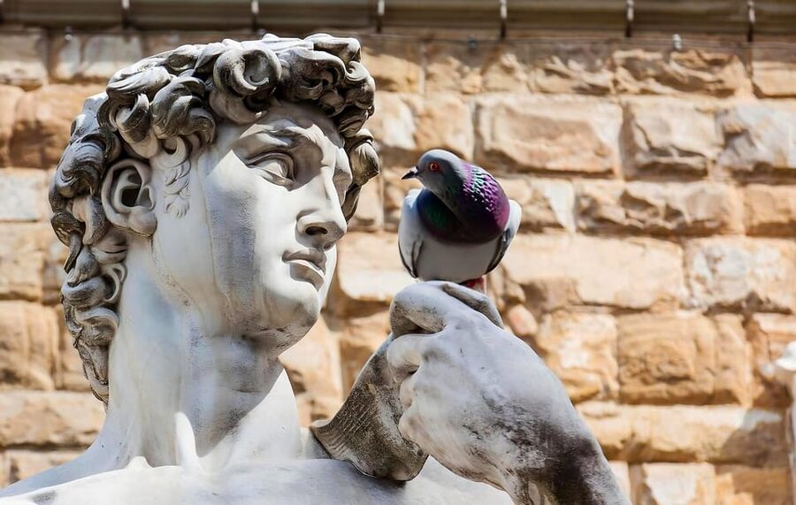 Florence: Piazza della Signoria & David - Anti Walking Tour - Key things to know before you go