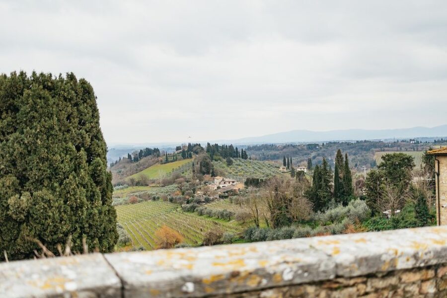 Florence: Pisa, Siena, San Gimignano, and Chianti Experience - Price and options: getting the best value out of $52