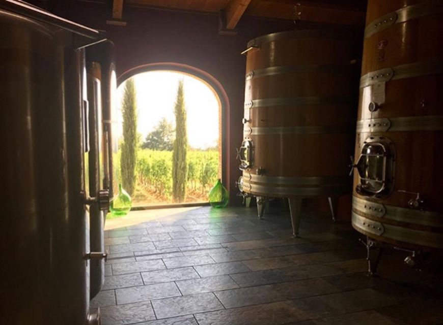 Florence: Private Full-Day Brunello Wine Tour to Montalcino - Lunch in Montalcino: Village, Restaurant, or Estate Lunch