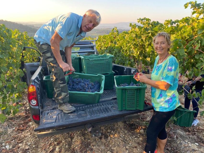 Florence: Private Siena, San Gimignano and Chianti Tour - Practical Tips That Make the Day Feel Easier