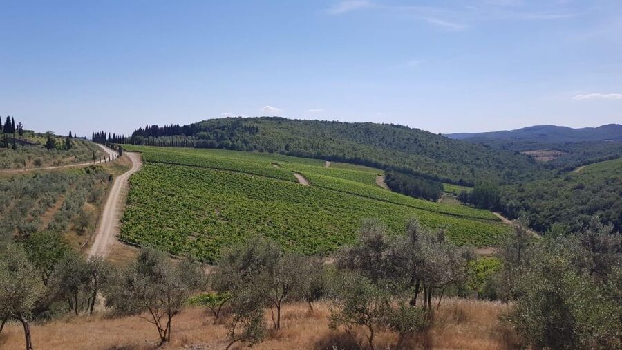 Florence: Private Vintage Fiat500 Countryside & Winery Lunch - Comfort, Rules, and Who This Tour Fits Best