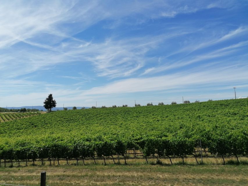 Florence: Private Vintage Fiat500 Countryside & Winery Lunch - Tuscan Lunch With Local Products: More Than Just Food Stops