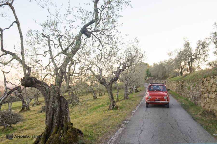 Florence: Private Vintage Fiat500 Countryside & Winery Lunch - The 4-Hour Flow: How This Half-Day Feels in Real Life