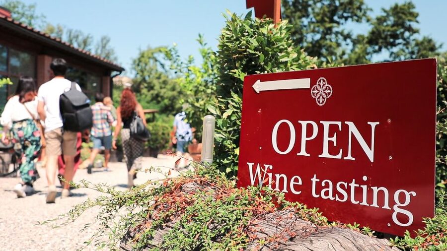 Florence: S. Gimignano, Siena, Chianti & Wine Tasting Lunch - A Full Tuscany Hits-The-Highlights Day Trip From Florence