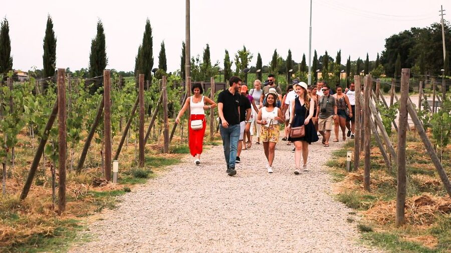 Florence: S. Gimignano, Siena, Chianti & Wine Tasting Lunch - Transportation That Keeps the Day Moving Without Feeling Chaotic