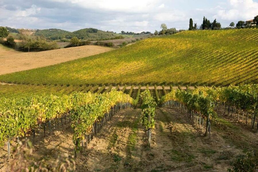 Florence: Siena & San Gimignano Day Trip with Lunch & Wine - San Gimignano free time: towers, narrow streets, and 90 minutes to enjoy it