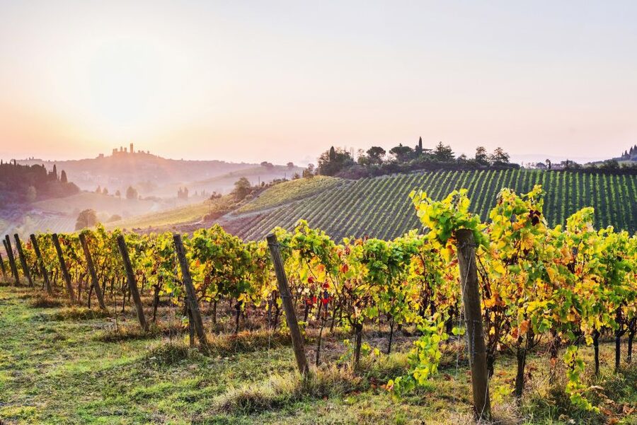 Florence: Siena & San Gimignano Day Trip with Lunch & Wine - The coach ride out of Florence: air-conditioning, Wi-Fi, and a long day ahead