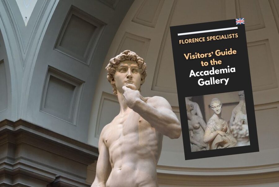 Florence: Timed Entry Ticket to Michelangelo's David & eBook - Inside the Accademia: David, Unfinished Works, and Chisel Marks