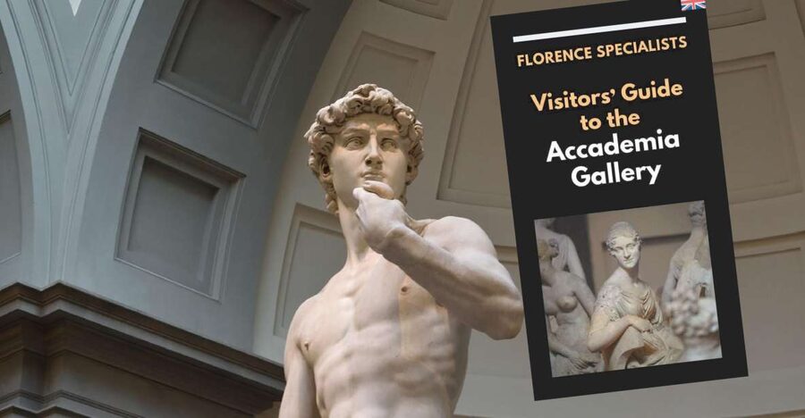 Florence: Timed Entry Ticket to Michelangelo's David & eBook - Gipsoteca and Original Plaster Models You Might Not Expect
