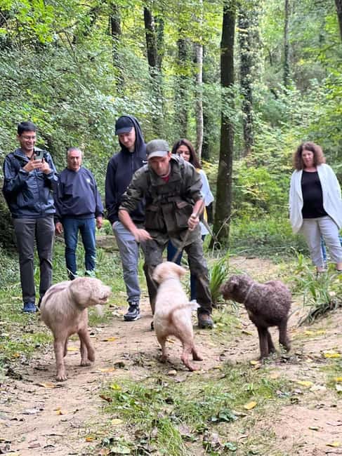 Florence: Truffle Hunt, San Gimignano, and Chianti Day Trip - A Florence-to-Chianti day that actually feels local