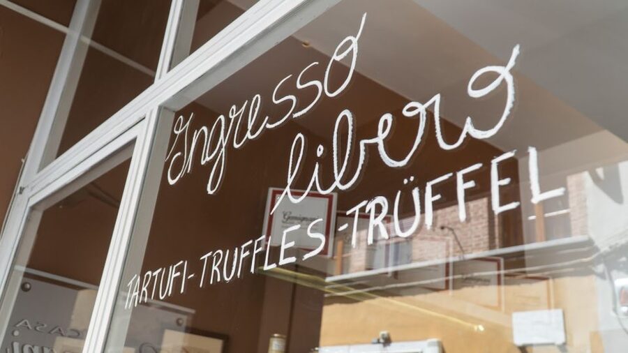 Florence: Truffle Hunting and Vinci with Lunch and Winery - Price and value: what $1,025 buys you in a private 9-hour package
