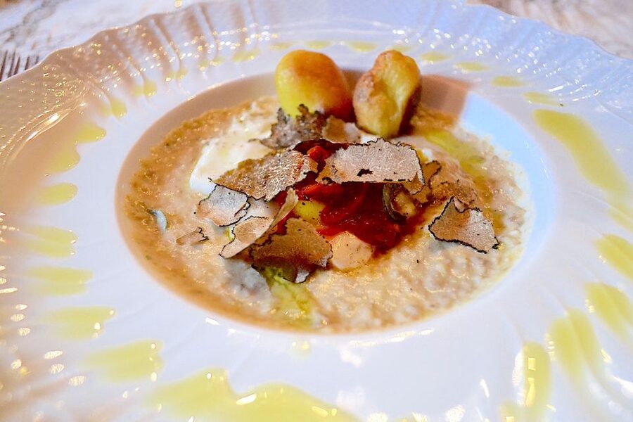 Florence: Truffle Hunting, Lunch, and Wine Tasting Tour - The truffle hunt in the woods: dog, dog logic, and real excitement