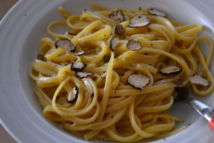 Florence: Truffle Hunting, Lunch, and Wine Tasting Tour - Getting out of Florence: the practical start you’ll want to plan for