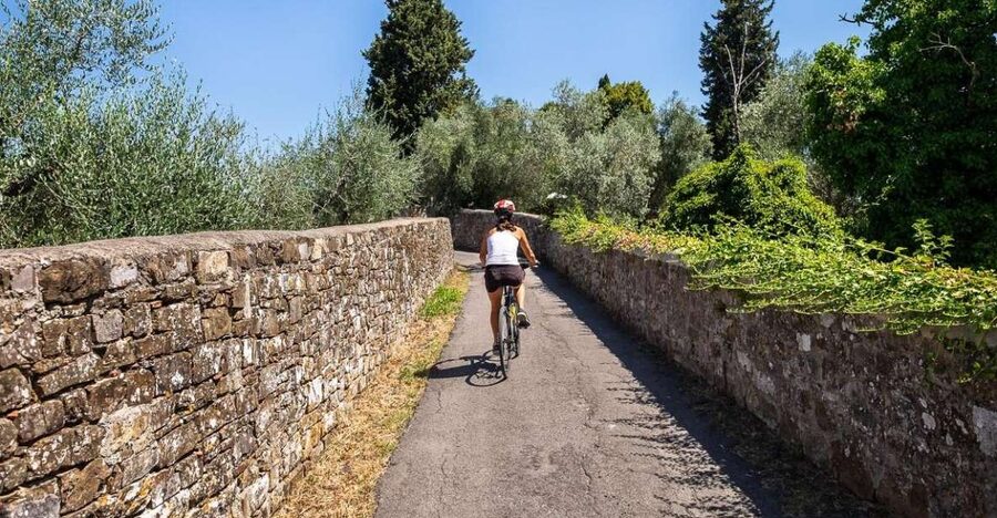 Florence: Tuscany Bike Tour with Wine & Olive Oil - What you should notice before you book