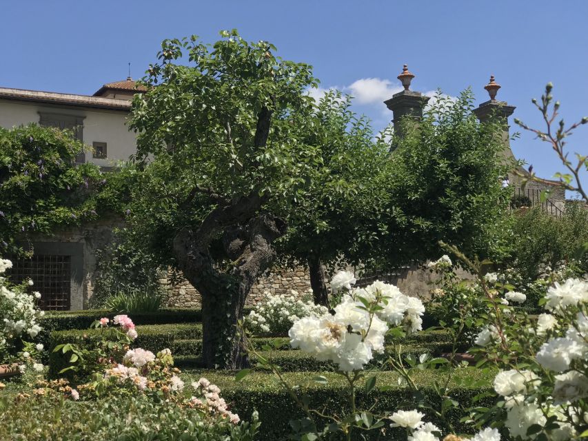 Florence: Tuscany Chianti Winery Private Day-Trip with Lunch - Why this Chianti day feels more like Tuscan living than a quick drive-by