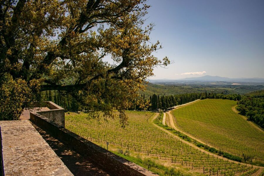 Florence: Tuscany Chianti Winery Private Day-Trip with Lunch - The estate visit in medieval cellars: where wine aging stops being abstract