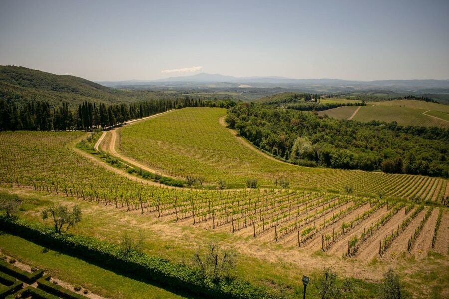Florence: Tuscany Chianti Winery Private Day-Trip with Lunch - Extra-virgin olive oil tasting: how to recognize the real thing