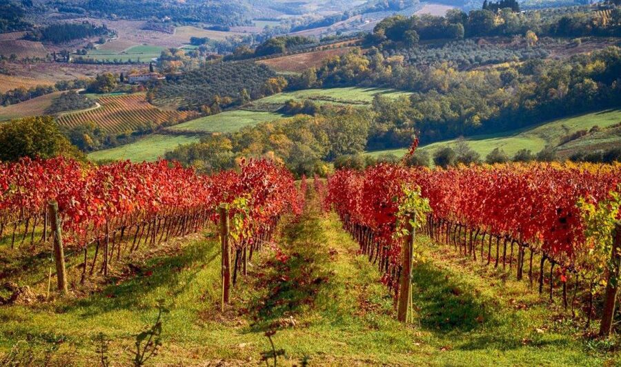 Florence: Tuscany Chianti Winery Private Day-Trip with Lunch - Lunch on the property plus 3 Chianti Classico tastings, what to expect