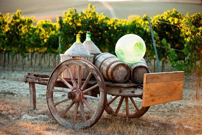 Florence: Tuscany Grand Tour-Siena, San Gimignano, Chianti & Pisa - Chianti Lunch and Winery Cellars: Wine, Food, and How It’s Made