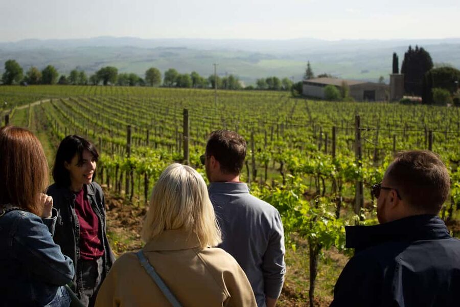Florence: Valdorcia Wine, Brunello Montalcino, Montepulciano - A small-group Val d’Orcia circuit from Florence