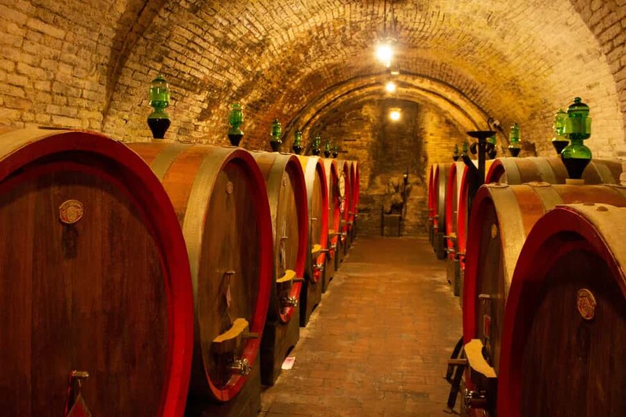 Florence: Valdorcia Wine, Brunello Montalcino, Montepulciano - Pienza lunch and Pecorino: the convent-garden setting is the star