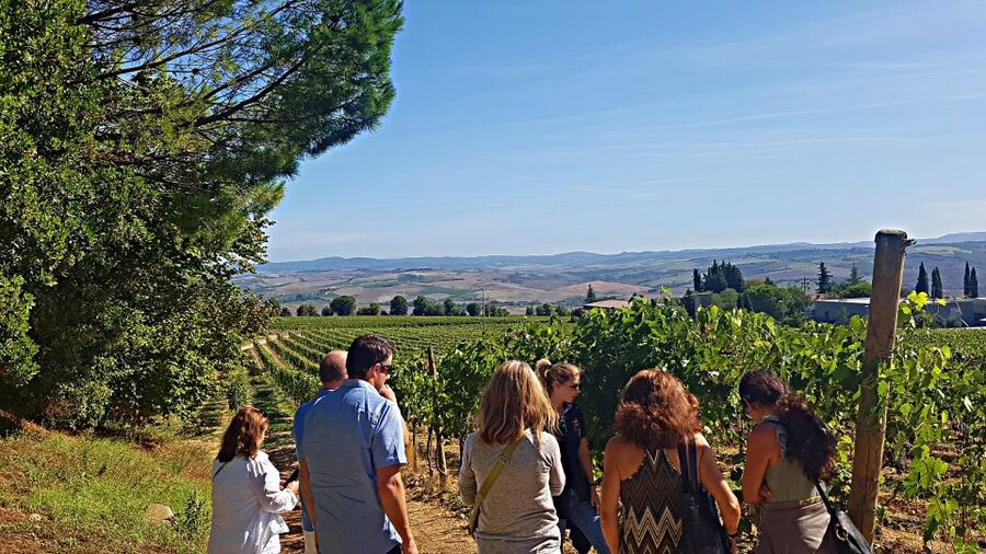 Florence: Valdorcia Wine, Brunello Montalcino, Montepulciano - Montepulciano: medieval town views plus underground wine cellars