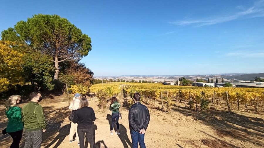 Florence: Valdorcia Wine, Brunello Montalcino, Montepulciano - Who this Tuscany day trip fits best