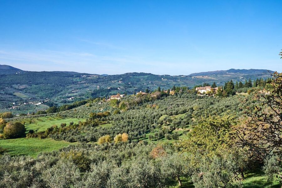Florence: Vintage Fiat 500 Tour with Wine Tasting at Winery - Value for $152: what you are paying for in a private Fiat 500 tour