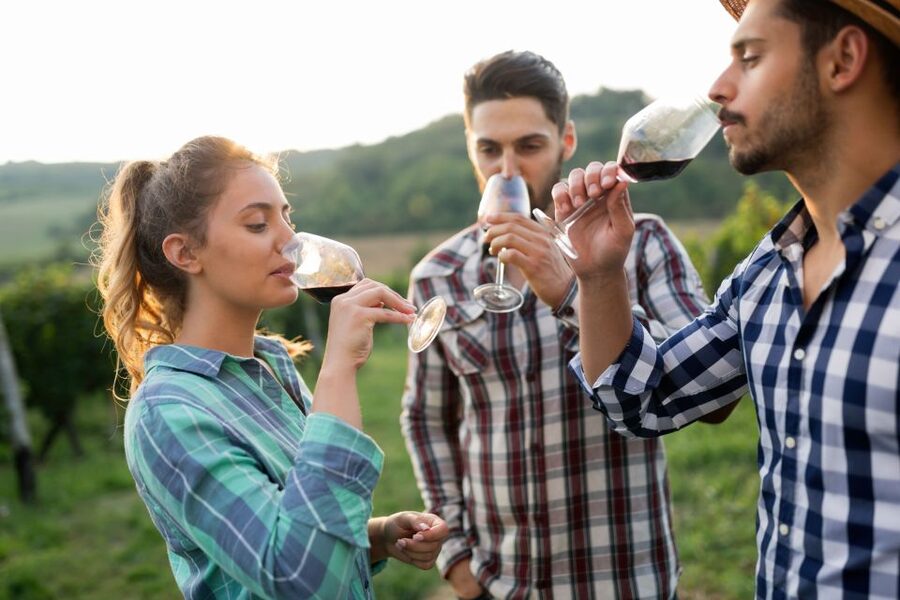 Florence: Wineries, Tastings, Lunch & San Gimignano Day Trip - Price and value: what $223 buys you in real terms