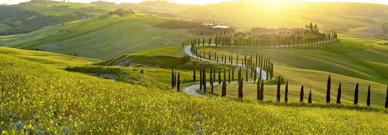 From Firenze | Chianti day tour in a classic car - Chianti Hills sightseeing: first hour set for big views and easy walking