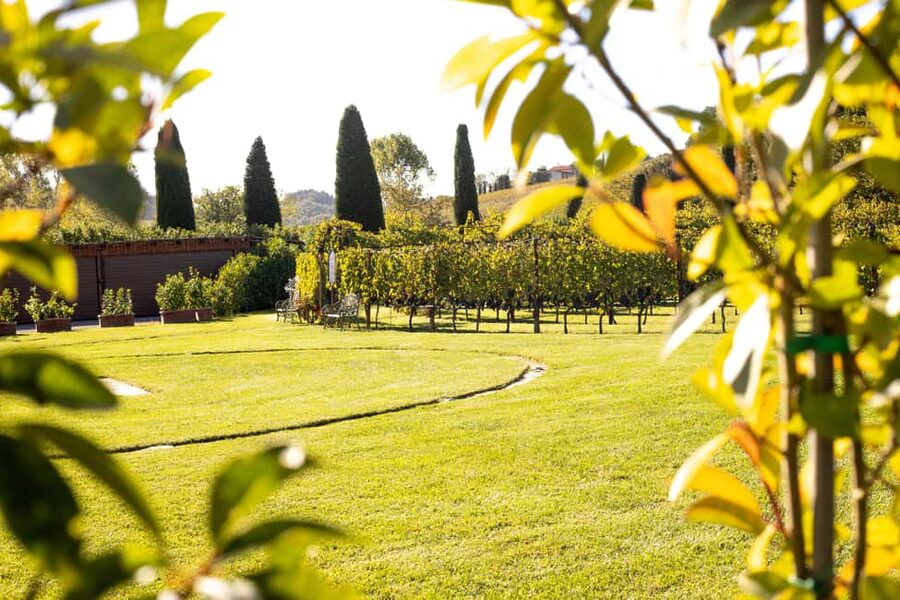 From Florence: Chianti Half-Day Afternoon Tour - Key Highlights You’ll Actually Feel