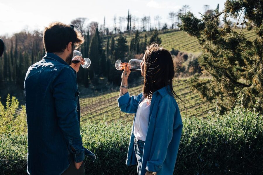 From Florence: Chianti Hills Half-Day Tour with Wine Tasting - The Vinegar Cellar Stop: Balsamic Vinegar of Modena and Vin Santo Culture