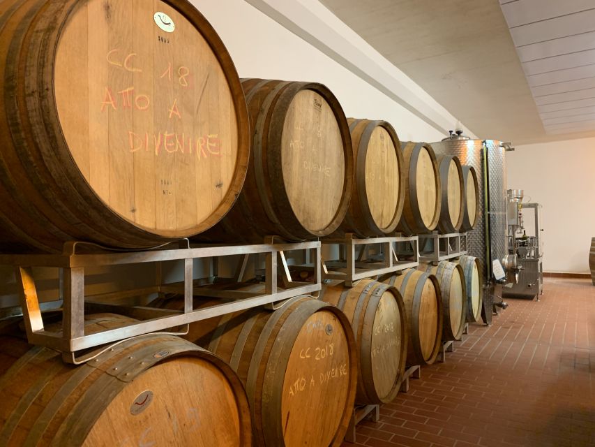 From Florence: Chianti Hills Half-Day Tour with Wine Tasting - Seven Wines and Local Pairings: How the Tasting Works