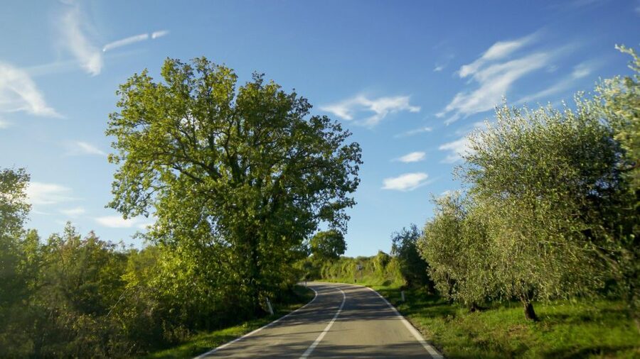 From Florence: Chianti, Montalcino & Montepulciano - Minivan - Key Points You Should Know Before You Go