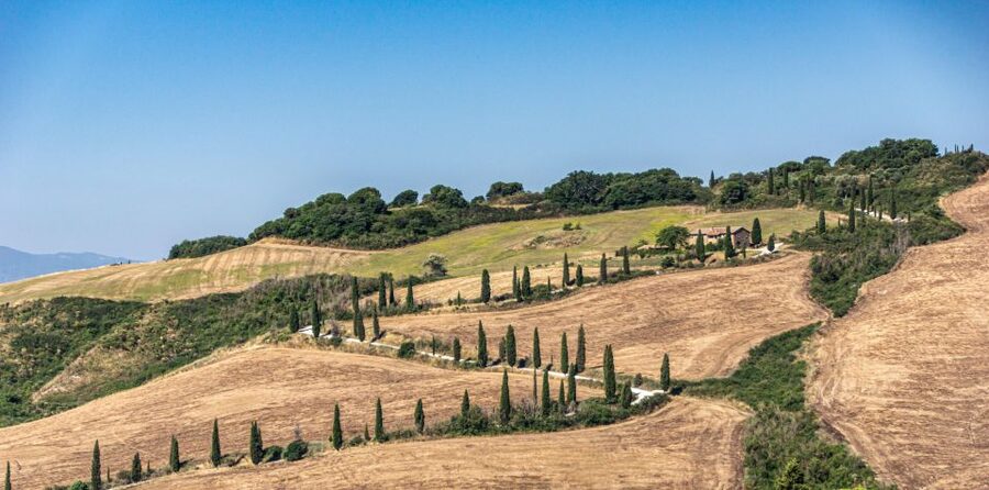 From Florence: Chianti, Montalcino & Montepulciano - Minivan - Price and Value: Is $328.53 for 10 Hours Fair?