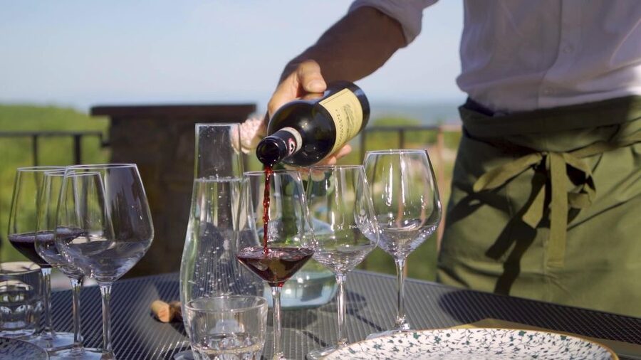 From Florence: Chianti, Montalcino & Montepulciano - Minivan - Olive Oil and Food Pairings You Can Actually Taste