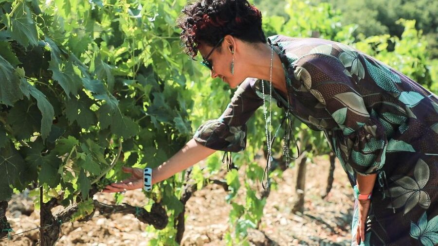 From Florence: Chianti Self-Guided Vespa Tour with Lunch - Value check: is $168.79 a good deal for 8 hours in Chianti?