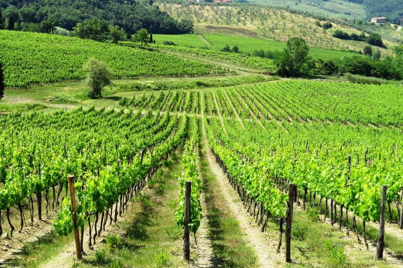 From Florence: Chianti Self-Guided Vespa Tour with Lunch - Starting in Florence at Borgo Ognissanti 65R