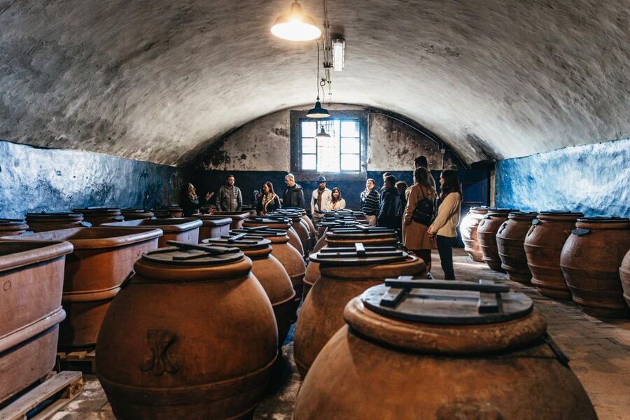From Florence: Chianti Wine and Food Tasting Safari - The Off-Road Safari Part: Cypress Lanes and Rural Backroads
