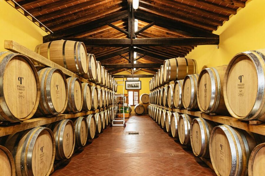 From Florence: Chianti Wine and Food Tasting Safari - Second Estate in the Chianti Hills: Chianti Classico With Tradition and Innovation