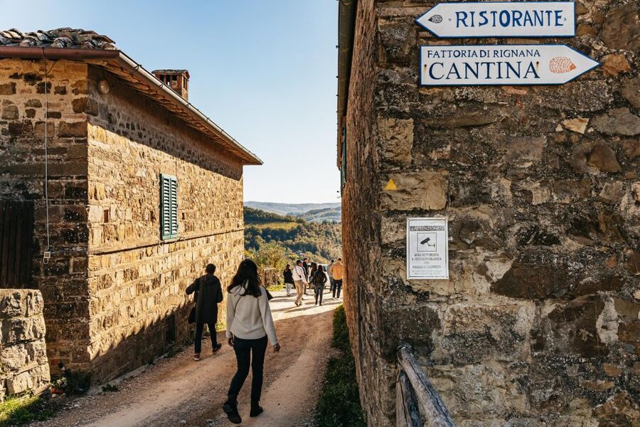 From Florence: Chianti Wine and Food Tasting Safari - What You Actually Taste: 8 Wines, Olive Oil, Cheese, and Cured Meats