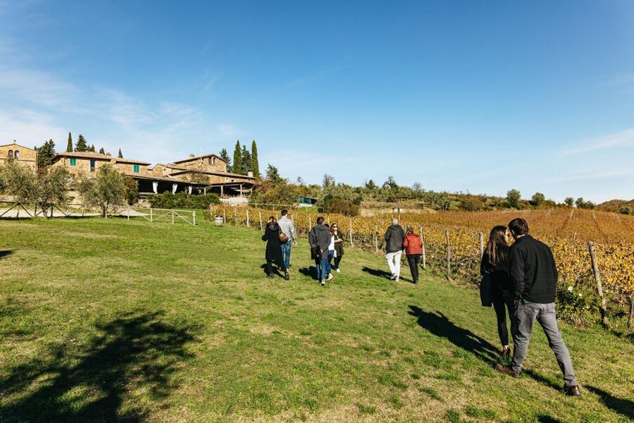 From Florence: Chianti Wine and Food Tasting Safari - Drivers and Guides Make or Break the Day