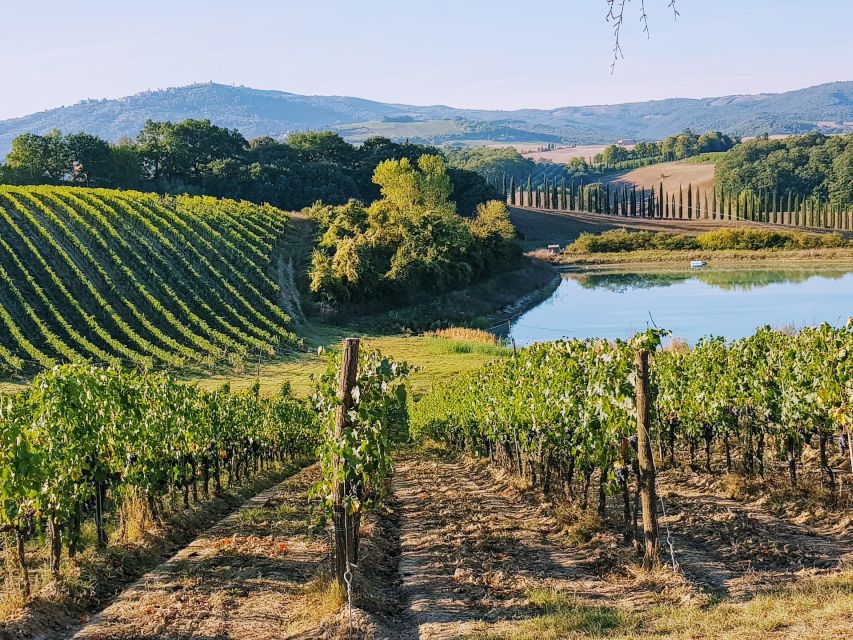 From Florence: Chianti Wine Tastings at Sunset Day Trip - Key Things to Know Before You Go