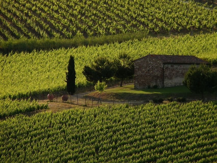 From Florence: Chianti Wine Tastings at Sunset Day Trip - Why Sunset Chianti Works So Well as a Half Day Break
