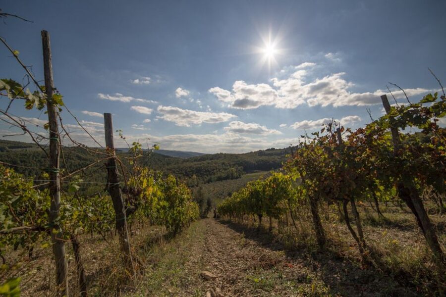 From Florence: Chianti Wine Tastings at Sunset Day Trip - Greve in Chianti Photo Stop: Where You First See the Wine Country Mood