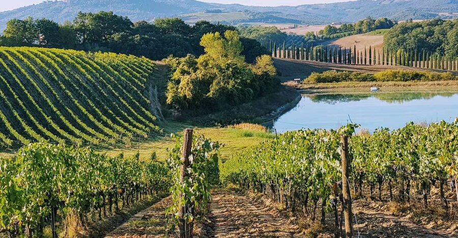 From Florence: Chianti Wine Tastings at Sunset Day Trip - Leaving Florence in a Minivan, Not a Motorcoach
