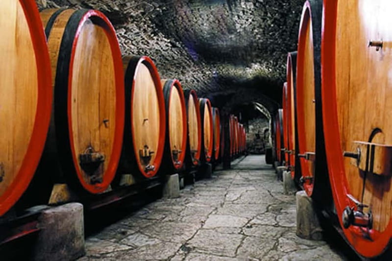 From Florence: Chianti Wine Tour with Driver-Guide - Key highlights you should care about