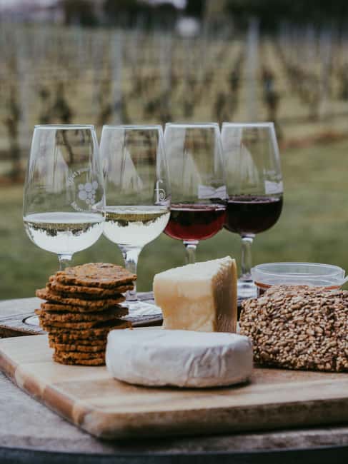 From Florence: Chianti Wine Tour with Driver-Guide - The second winery visit: connecting everything you tasted